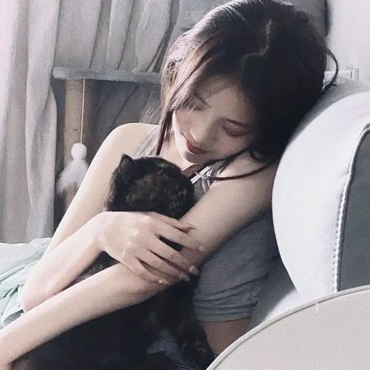 猎罪图鉴